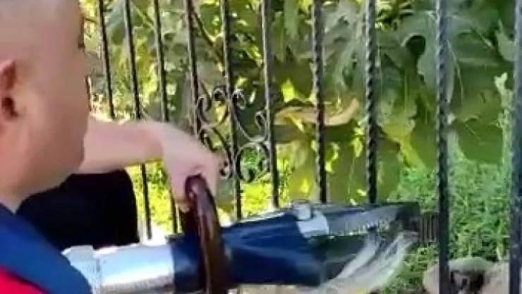 Demir korkulukların arasında saatlerce mahsur kalan köpeği itfaiye kurtardı