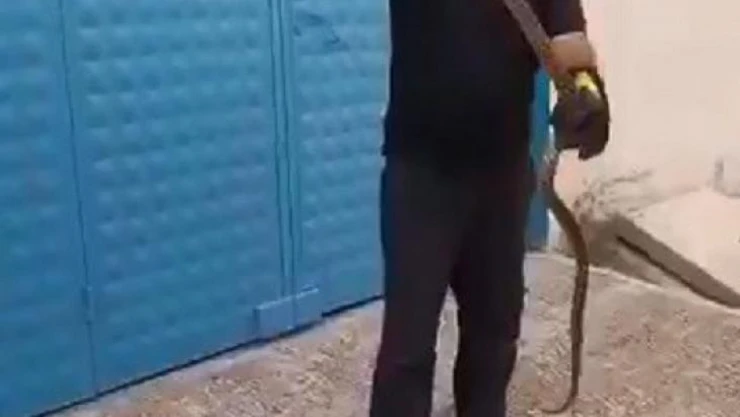 Depoya giren yılan ekipleri harekete geçirdi