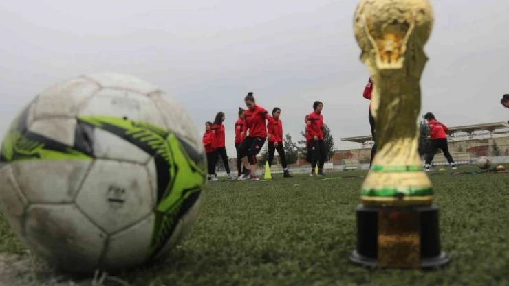 Diyarbakır'ın fabrika gibi okulu, milli takımlara sporcu yetiştiriyor