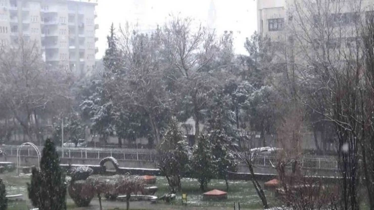 Diyarbakır, Mart ortasında beyaza büründü