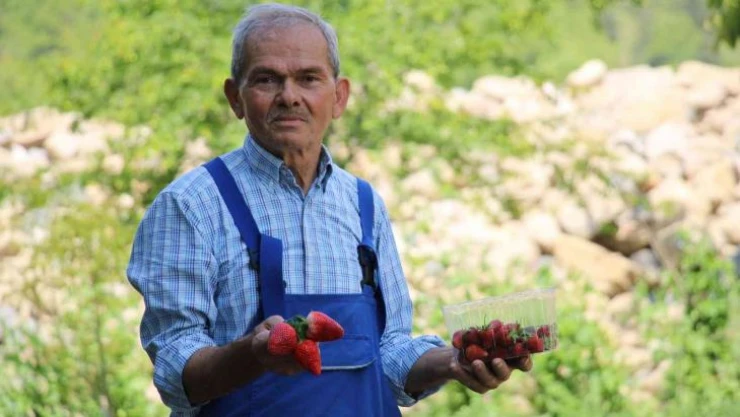 Emekli madenci hayatını tarıma adadı şimdi siparişe yetişemiyor
