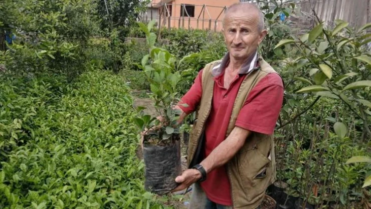 Emekli olduktan sonra hobi olarak başladığı fidan yetiştiriciliği mesleği oldu