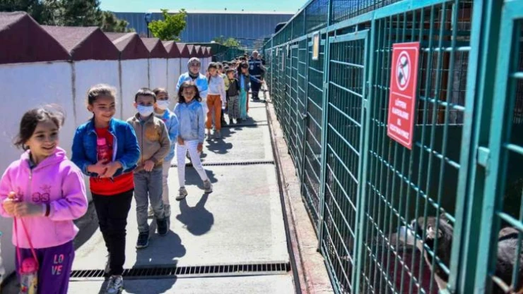 Esenyurtlu minikler, hayvanların yaşadığı bakımevini ziyaret etti