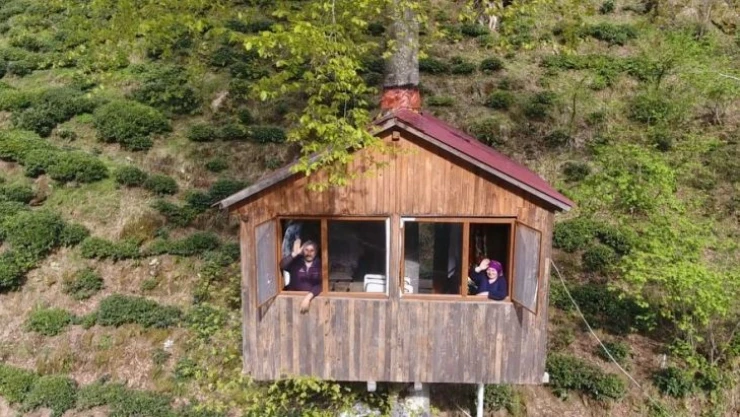 Gençlikte hayalini kurdukları ağaç eve 30 yıl sonra kavuştular