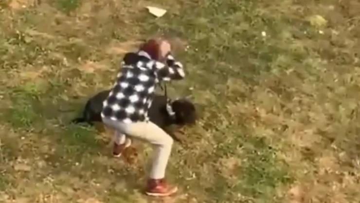 Gezdirdiği köpeği tekmeledi