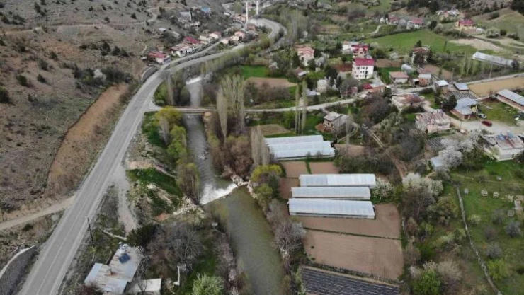 Gümüşhaneli çiftçilere destek sağlandı, üretim arttı