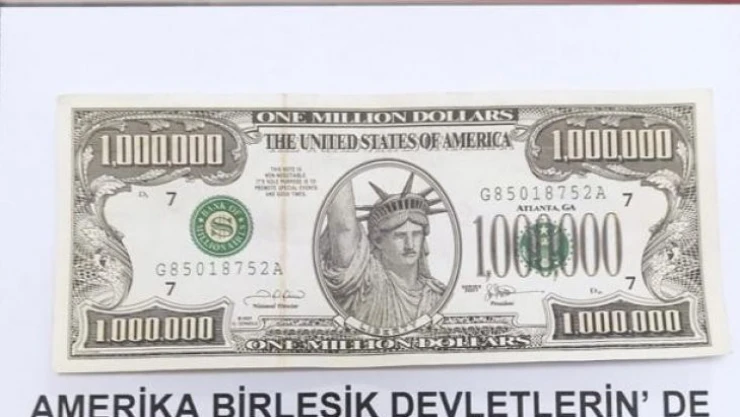 Gürpınar'da 1 milyon dolarlık banknot ele geçirildi