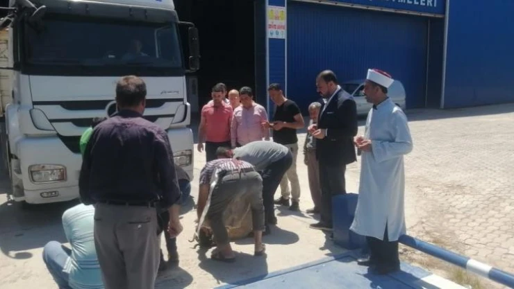 Hatay'da buğday hasadı dualarla başladı