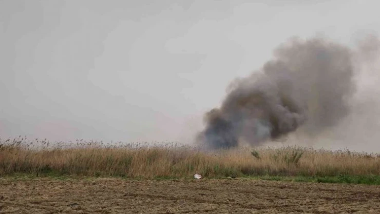Hatay'da sazlık alanda yangın