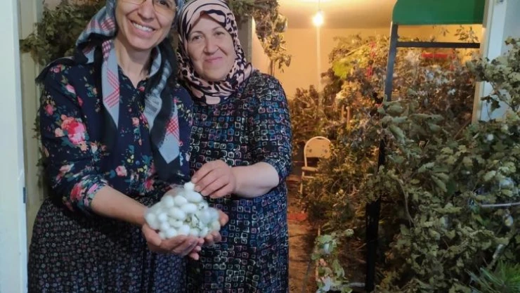 İpek Yolu üzerindeki sakin şehir Mudurnu'da kozacılık kadınlarla hayat buldu