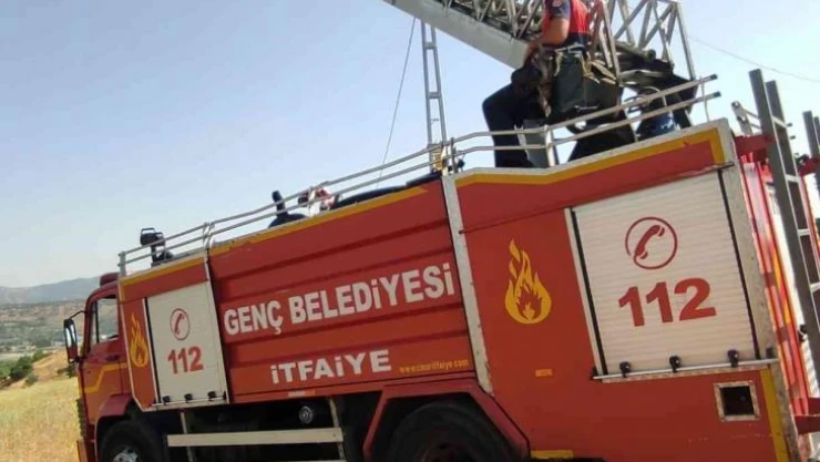 İtfaiye ekipleri yuvası bozulan leyleğe yuva yaptı