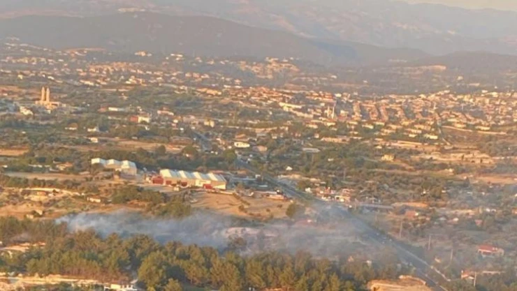 İzmir'de ağaçlık alanda yangın