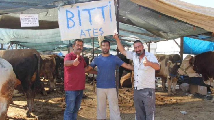 İzmir'deki kurban pazarlarında hayvanların büyük çoğunluğu satıldı