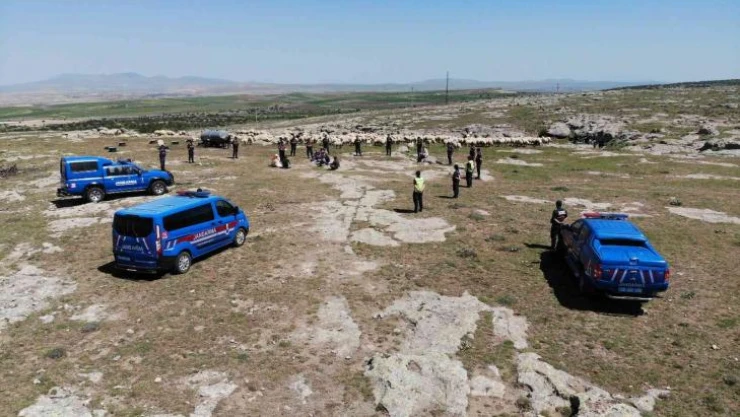 Jandarma dağlarda çoban eğitiminde