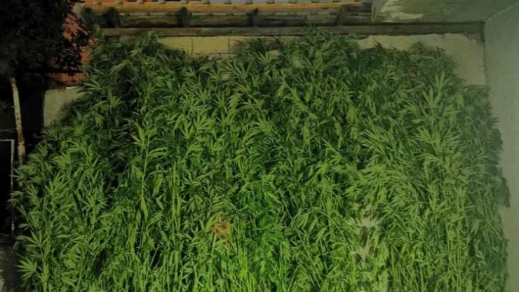 Jandarmadan 2 ilçede uyuşturucu operasyonu: 2 gözaltı