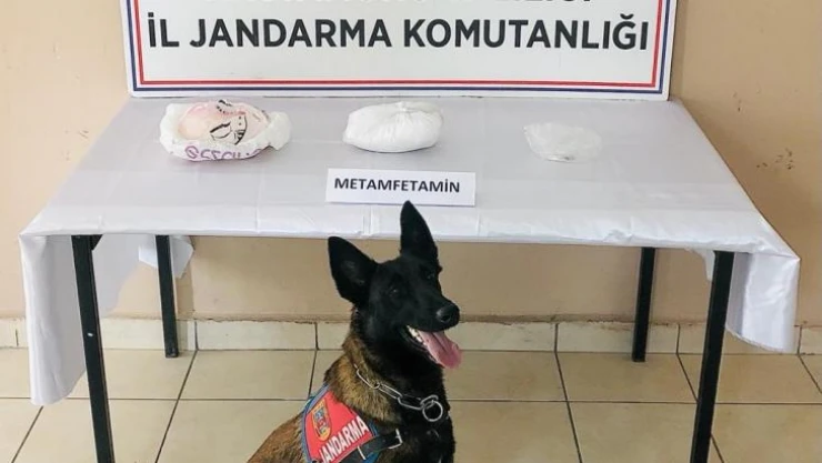Jandarmanın uyuşturucu köpeği 'Valör' buldu, yolcu otobüsündeki valizden 2 kilogram metamfetamin çıktı