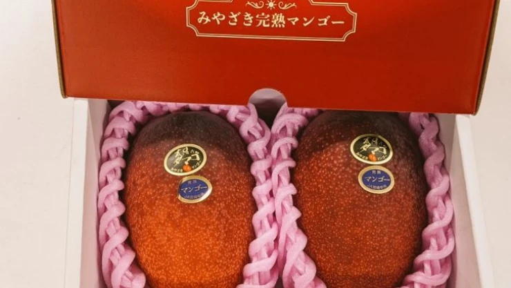 Japonya'da iki mango 58 bin 300 liraya alıcı buldu