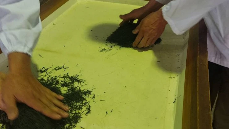 Japonya'daki açık artırmada 1 kilogram çay 226 bin liraya satıldı