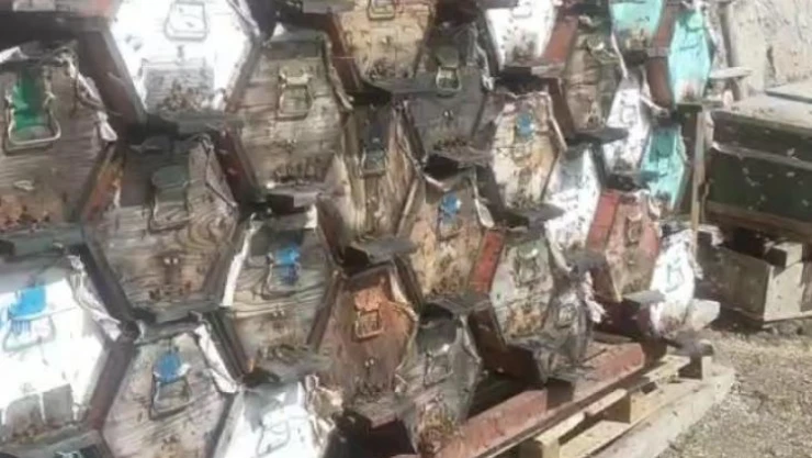 Kara kovanda üretilen Anzer Balı 8 bin TL'den alıcı buluyor