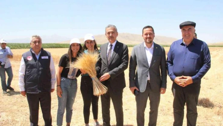 Karaman ovasında son buğday hasadı yapıldı