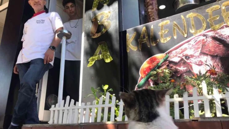 Kedi 'Döner' dönercinin maskotu oldu