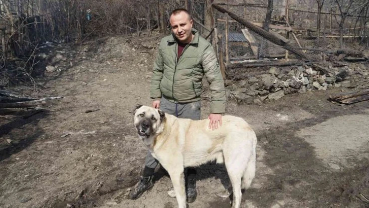 Kendilerini yangından kurtaran köpeği gözyaşları içinde sevdiler