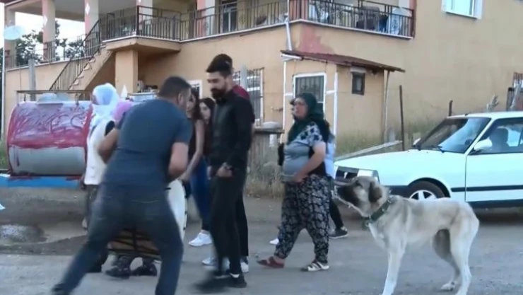 Kendinden geçmiş halde davul çalıyordu, köpeğin havlaması ile neye uğradığını şaşırdı