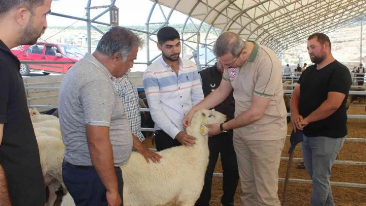 Kilis'te kurban pazarı denetlendi