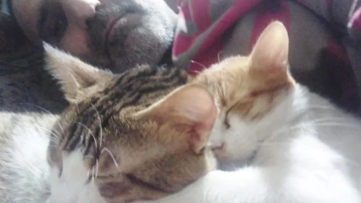 Kimsesiz yazar sokak hayvanları için kitaplarına destek bekliyor