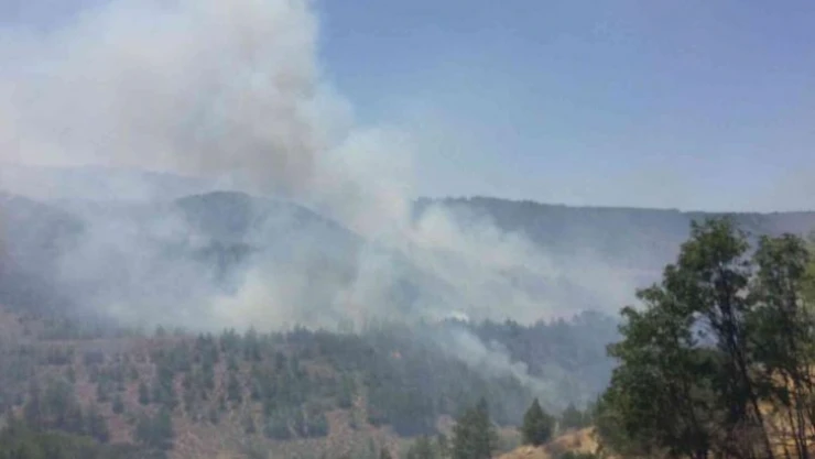 KKTC'de arazide başlayan yangın ormanlık alana sıçradı