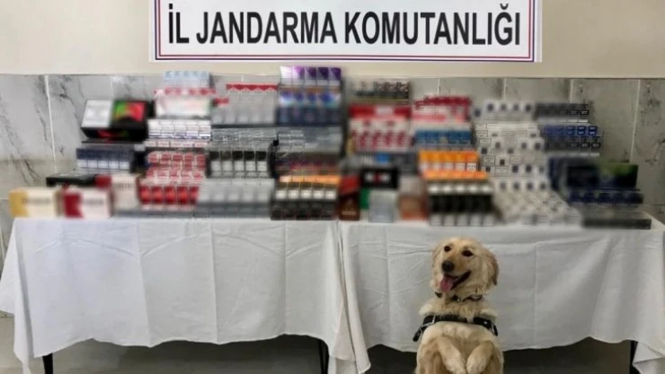 Konya'da 2 bin 763 paket kaçak sigara ele geçirildi