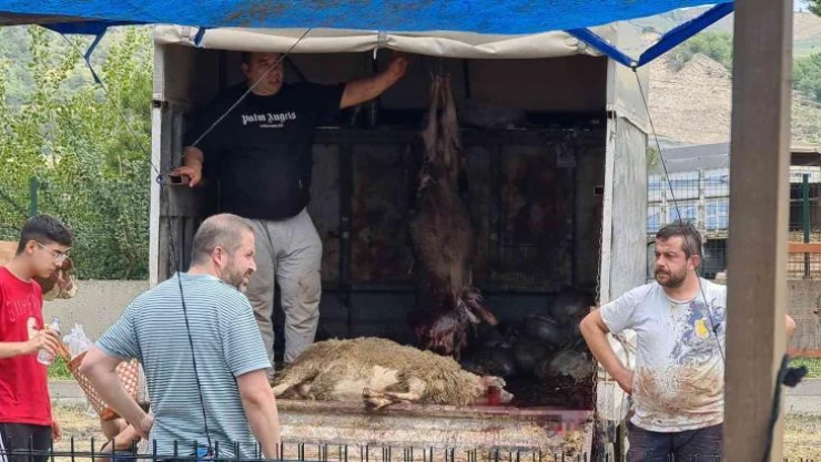 Kurbanını kimi kamyon kasasında, kimi ağaçlık alanda kesti