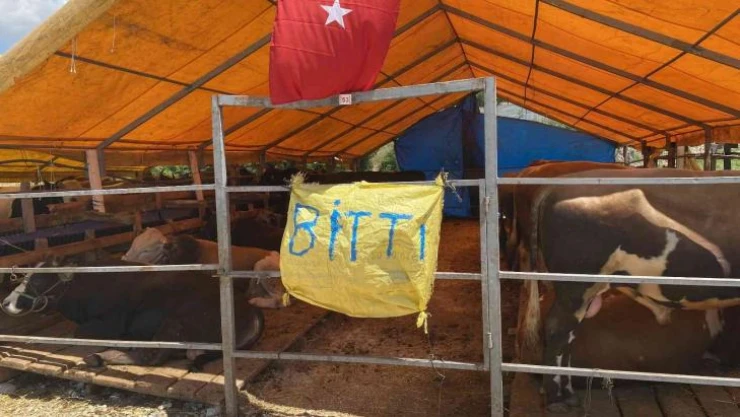 Kurbanlıkların büyük bölümü satıldı, satıcılar çadırlara ' Bitti' yazısı astı