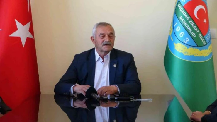 Malatya'da 300 bin kayısı ağacı doludan etkilendi