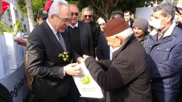 Manavgat'ta 10 bin 500 fidan dağıtıldı