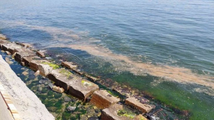 Marmara Denizi yine turuncuya büründü: Bu kez denizanaları da var