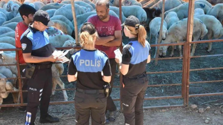Mersin'de hayvan satıcıları dolandırıcılara karşı bilgilendiriliyor