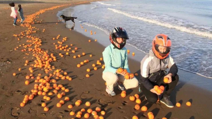 Mersin'de sahil portakal doldu