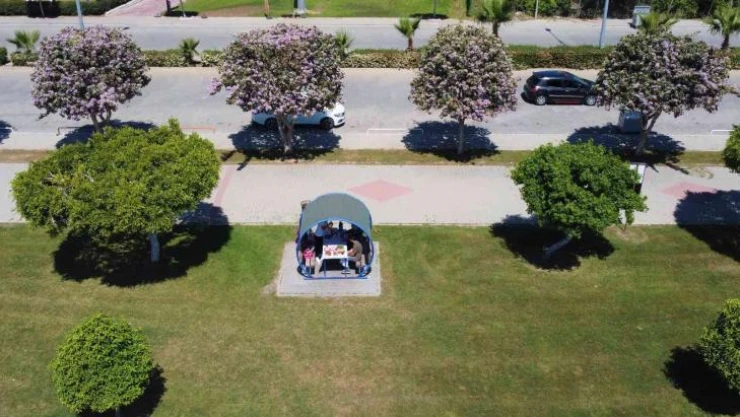 Mersin'de yaz havasıyla orkide ağaçları çiçek açtı, karsambaç satışları başladı