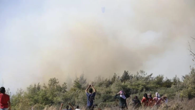 Mersin'deki orman yangını kontrol altına alındı