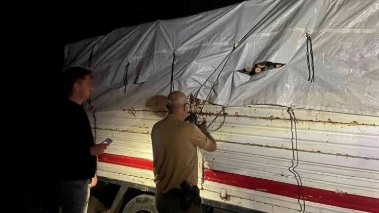 Meşe ağaçlarını kesen şahsa suçüstü