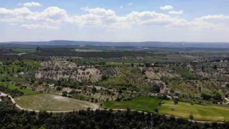 Meteoroloji orman yangınlarına karşı uyardı