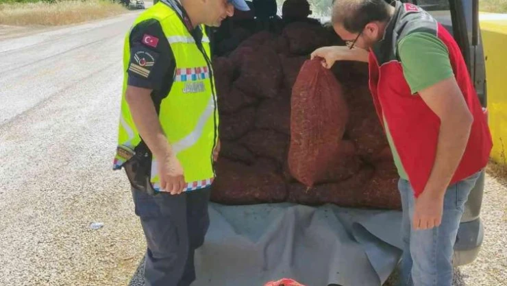 Muğla'da 1,5 ton kaçak midye ele geçirildi