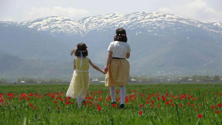 Muş Ovası lalelerle kırmızıya boyandı