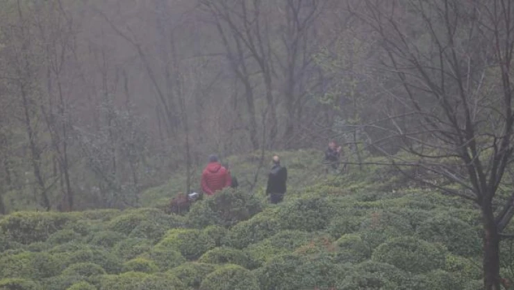 Rize'de otomobil uçuruma yuvarlandı: 1 ölü