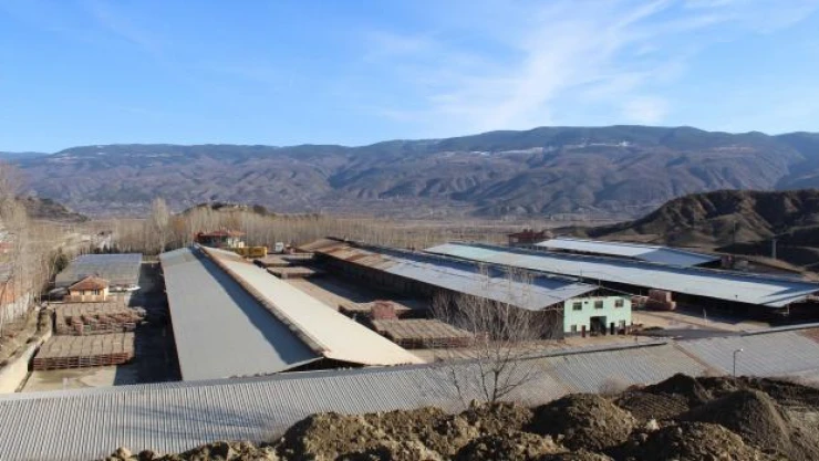 Tosya'da tuğla fabrikaları sezonu açtıdı
