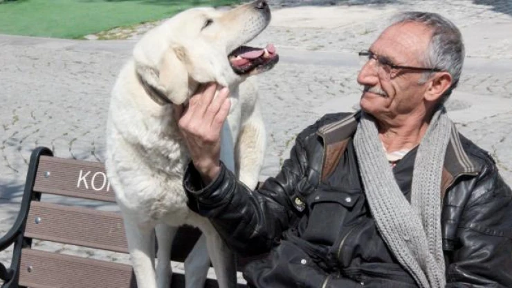 'Bulut' köpeğin motosiklet tutkusu