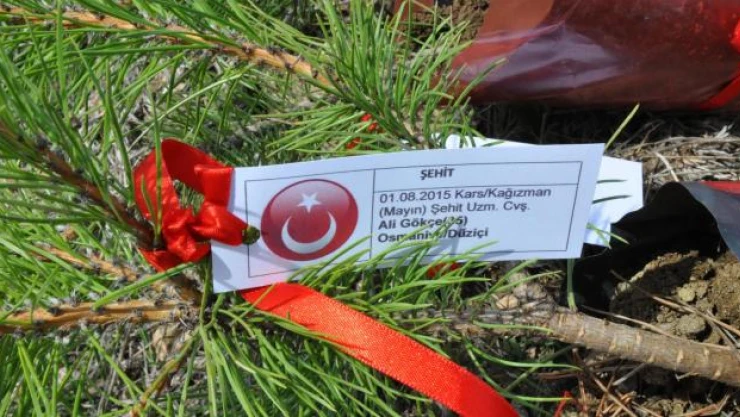 Şehitlerin adı fidanlarda yaşayacak