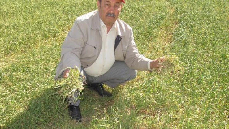 Araban'da kuraklık endişesi