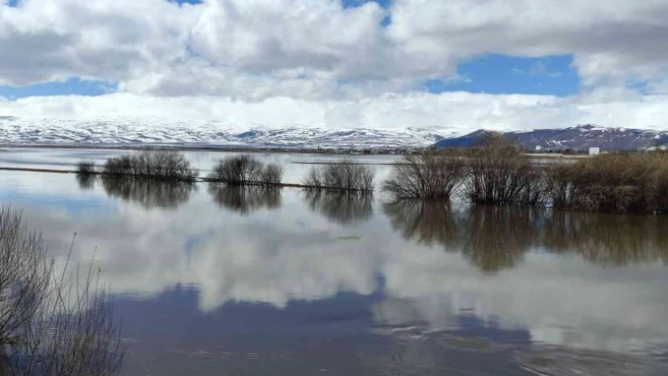 Nehir taştı, Ardahan ovası sular altında kaldı